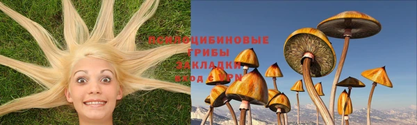 спиды Беломорск