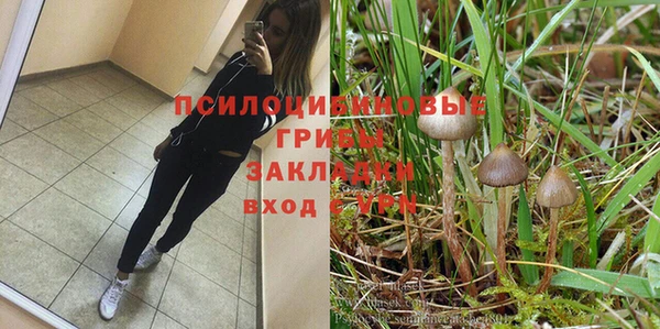 jwh Богданович