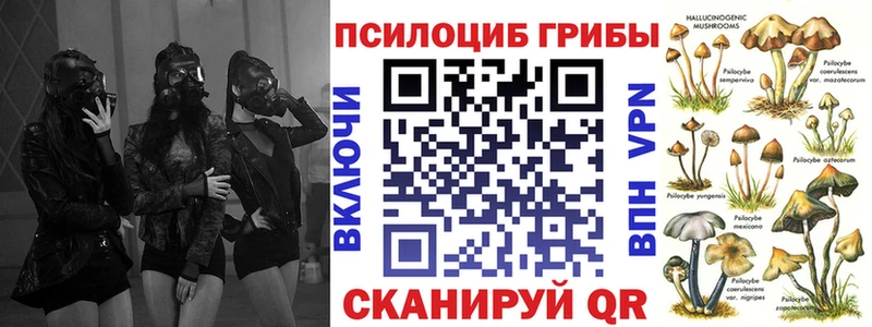 Галлюциногенные грибы Psilocybe  Горнозаводск 